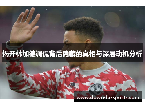 揭开林加德调侃背后隐藏的真相与深层动机分析 揭开林加德调侃背后隐藏的真相与深层动机分析